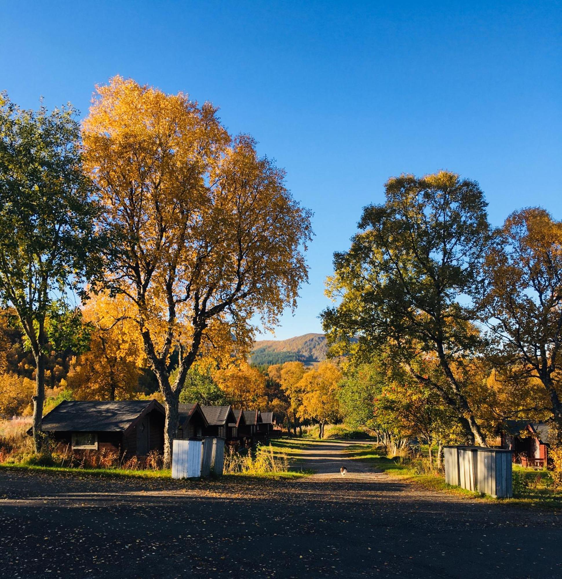 Sortland Camping Og Motell As Екстер'єр фото