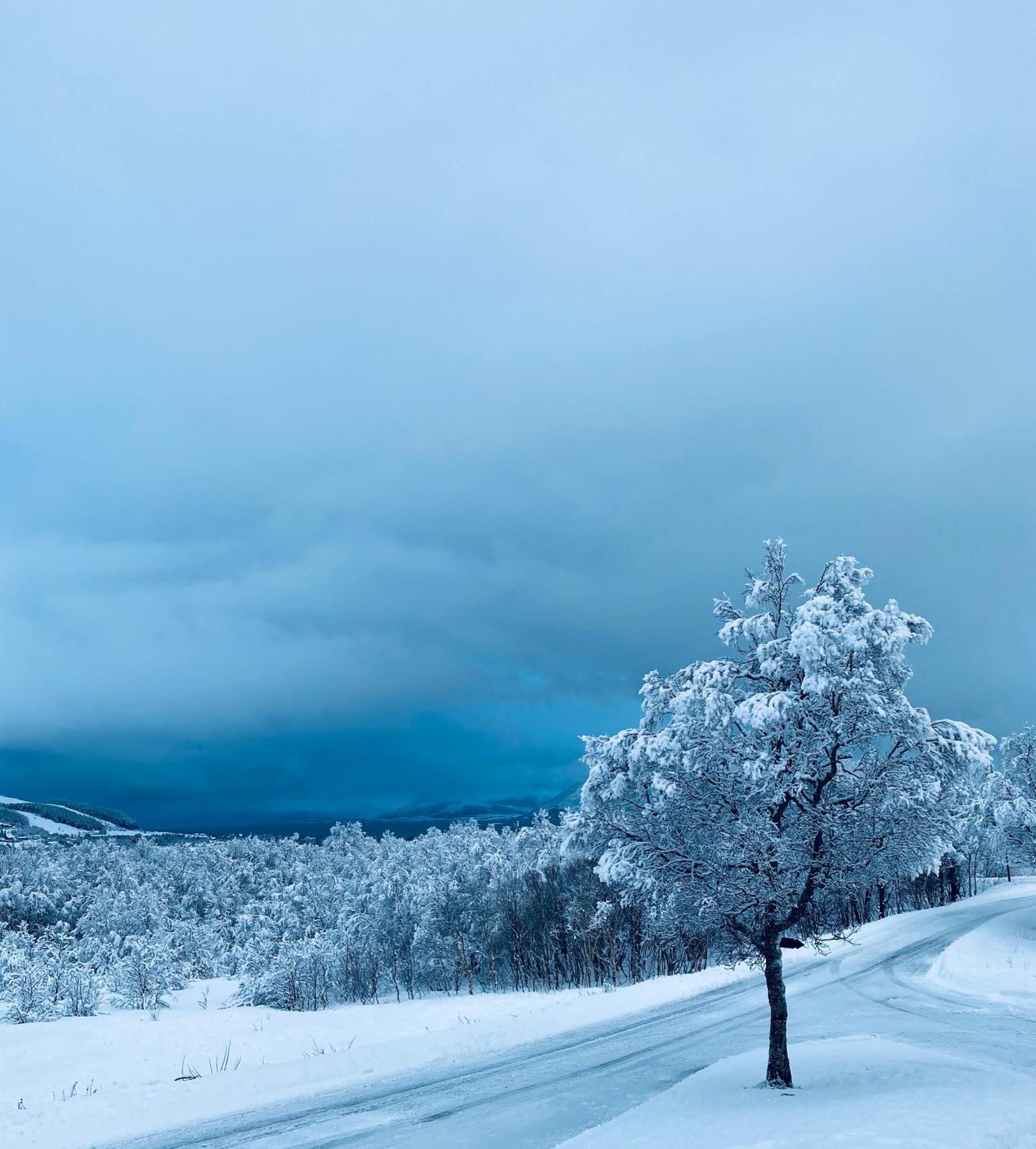 Sortland Camping Og Motell As Екстер'єр фото