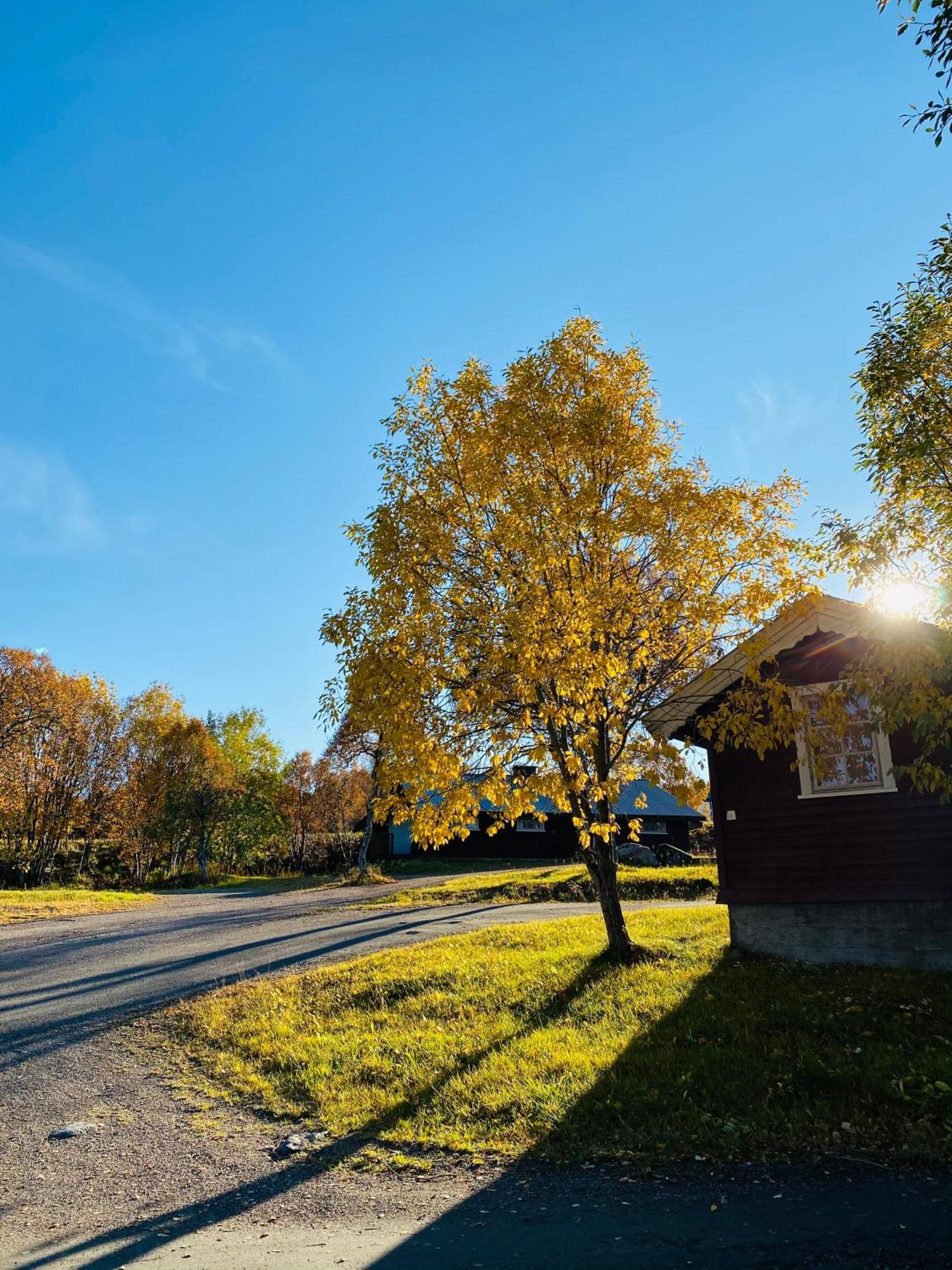 Sortland Camping Og Motell As Екстер'єр фото