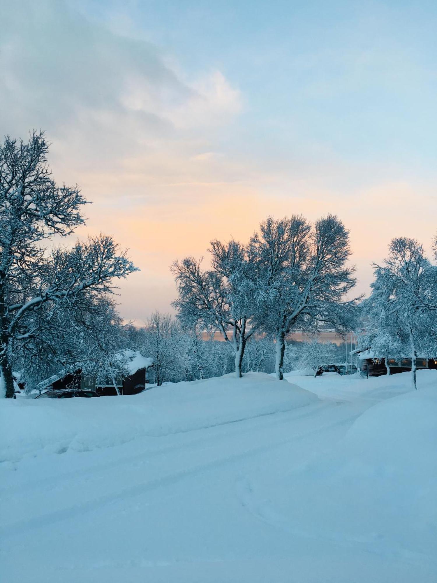 Sortland Camping Og Motell As Екстер'єр фото