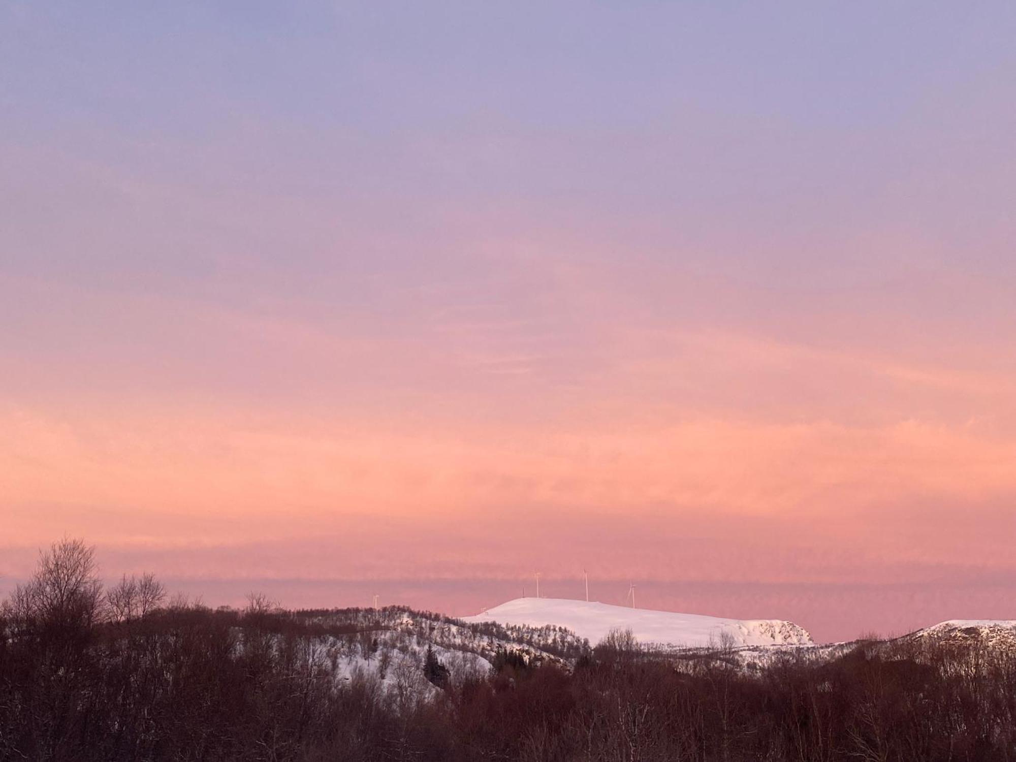 Sortland Camping Og Motell As Екстер'єр фото