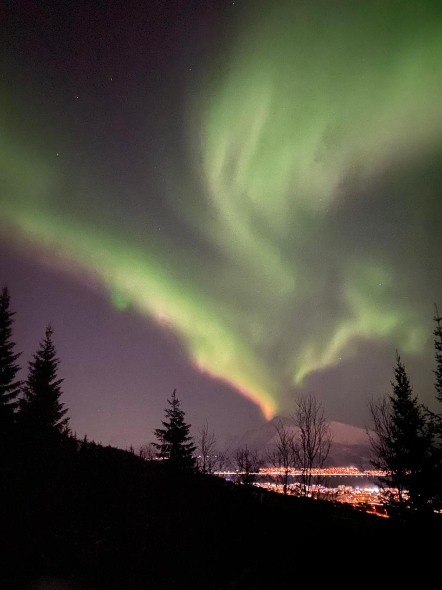 Sortland Camping Og Motell As Екстер'єр фото