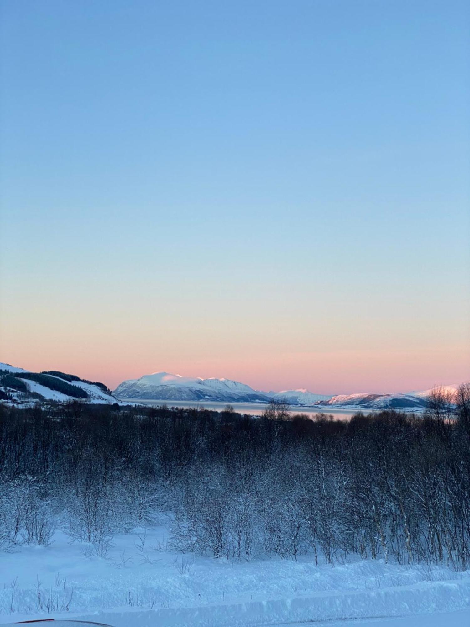 Sortland Camping Og Motell As Екстер'єр фото