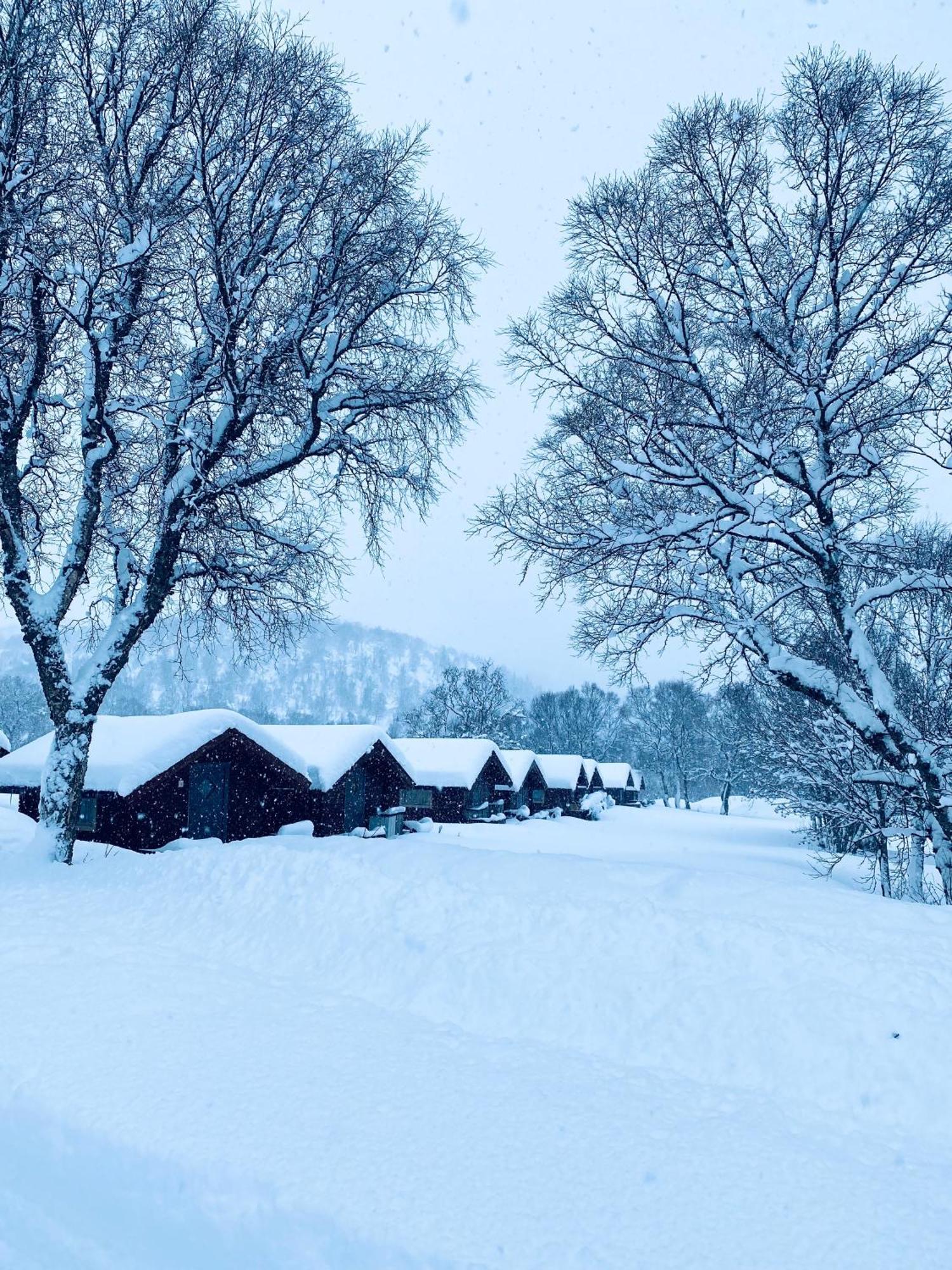 Sortland Camping Og Motell As Екстер'єр фото